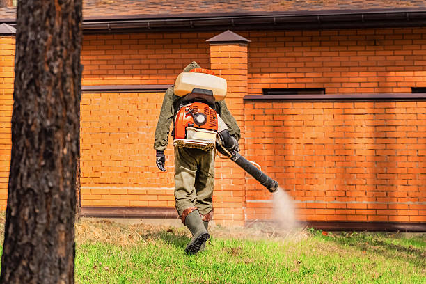 Trusted Mosquito Control service in New Ellenton, SC - Nex Pest Control